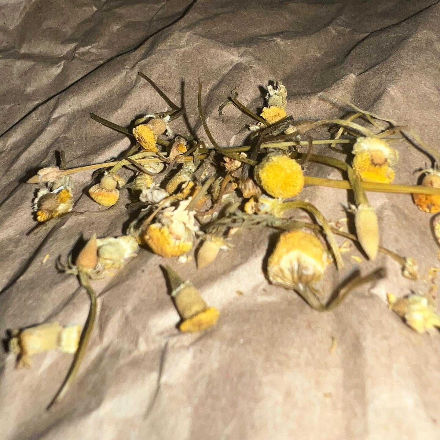 Goats milk soak chamomile