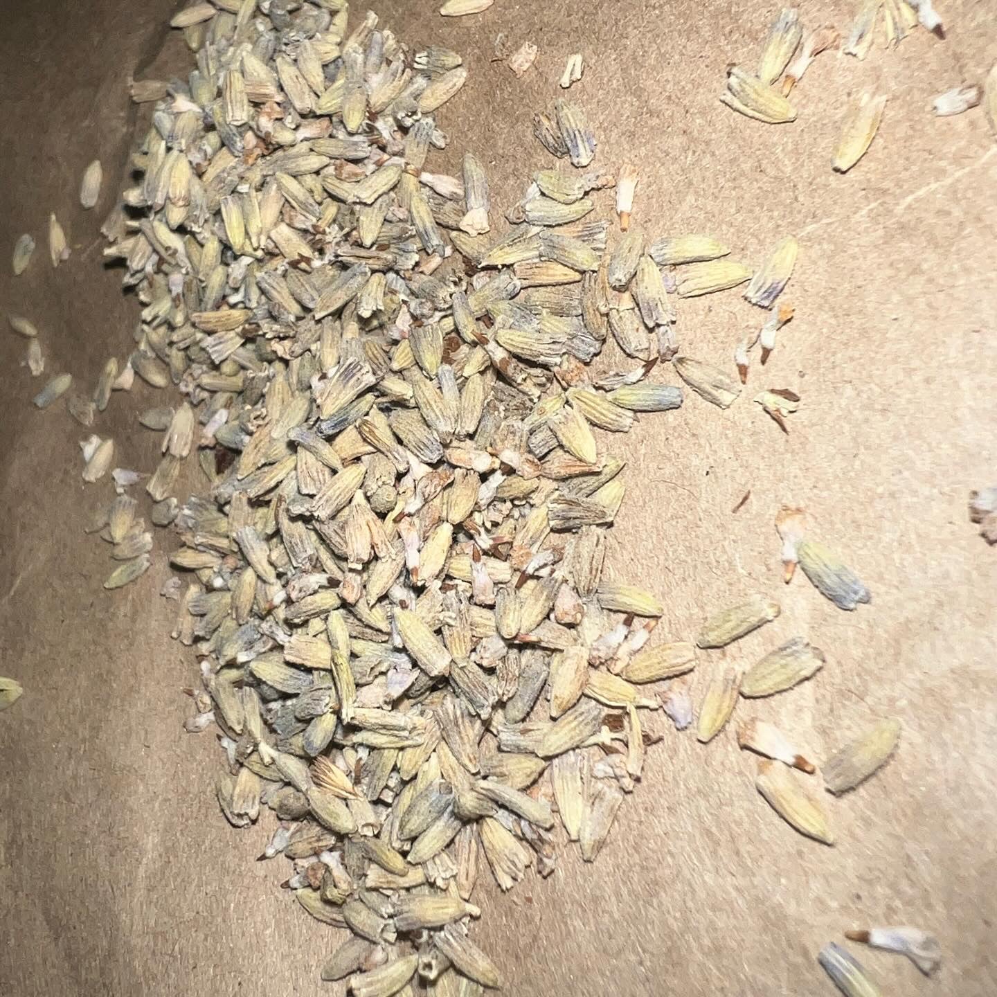 Goats milk soak lavender