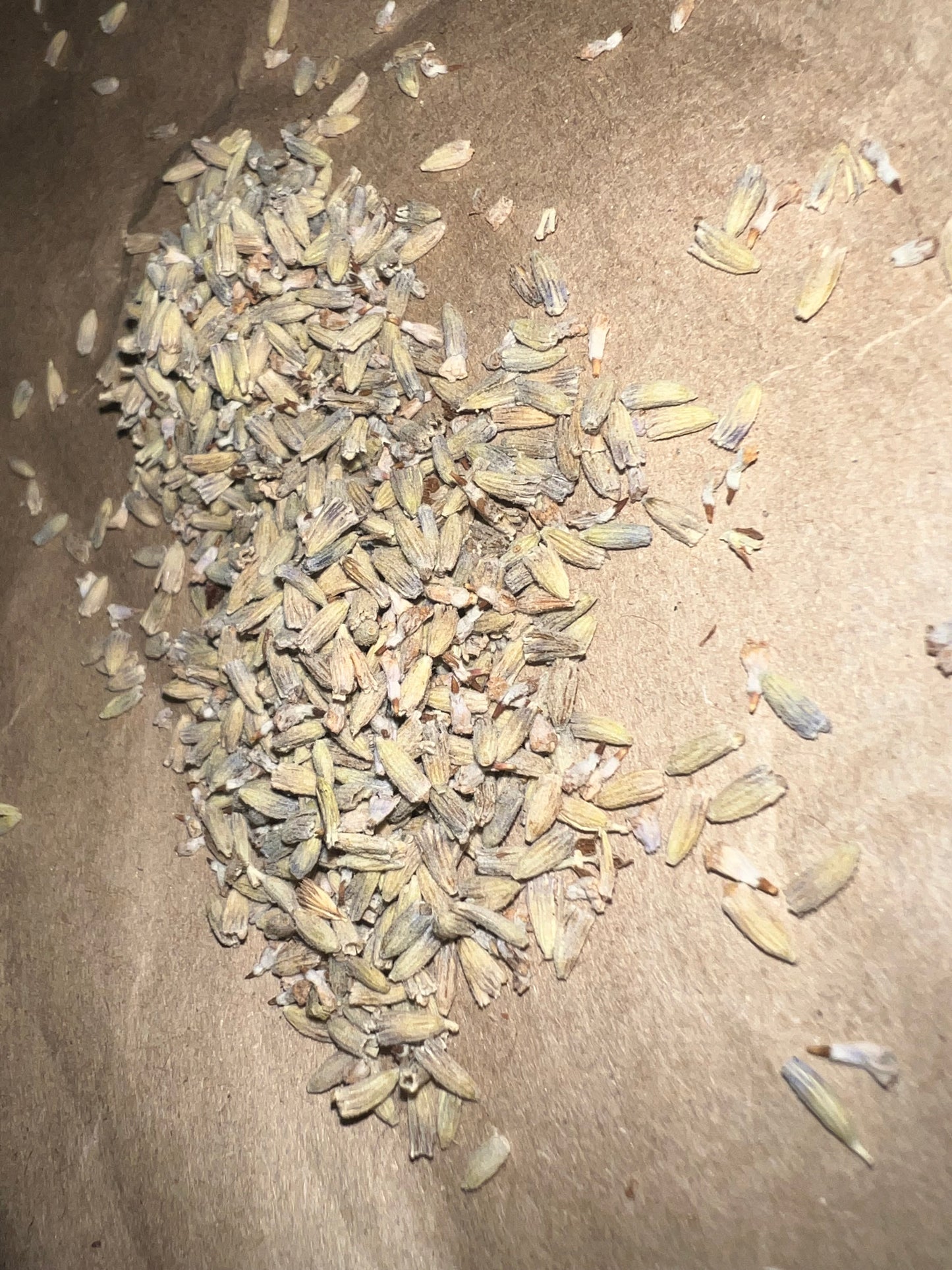 TESTER Goats milk soak